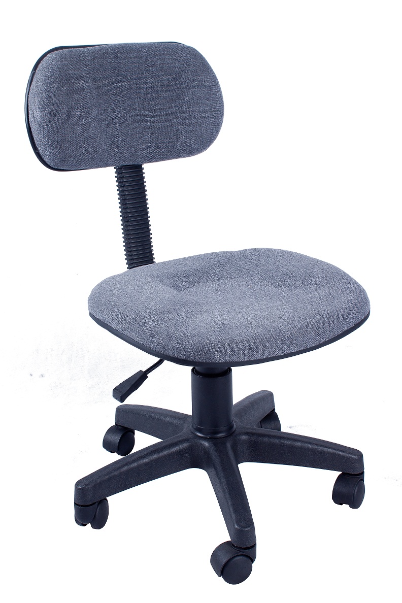 Ergodynamic OC-101GRY Home Office Chair Furniture (Grey) photo